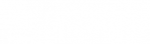 Logo_Springer